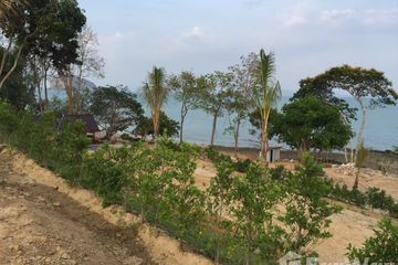 Land for sale in Ko Yao Yai, Phang Nga