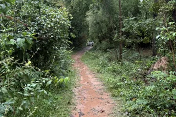 Land for sale in Nong Bua, Sisaket