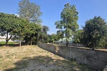 Land for sale in Mae Hia, Chiang Mai