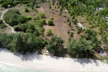 Land for sale in Maret, Surat Thani