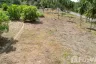 Land for sale in Maret, Surat Thani