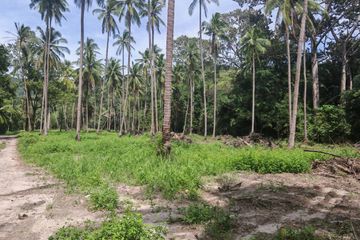 Land for sale in Taling Ngam, Surat Thani