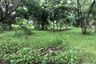 Land for sale in Nong Chom, Chiang Mai