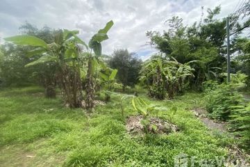 Land for sale in Mae Pong, Chiang Mai