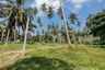 Land for sale in Na Mueang, Surat Thani