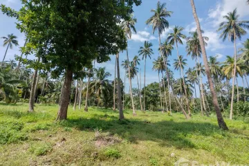 Land for sale in Na Mueang, Surat Thani