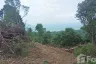 Land for sale in Mae Nam, Surat Thani