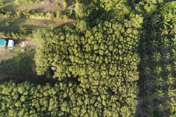 Land for sale in Na Mueang, Surat Thani