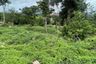 Land for sale in Na Mueang, Surat Thani