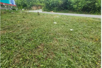 Land for sale in Bo Phut, Surat Thani