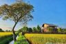 3 Bedroom House for rent in Sop Poeng, Chiang Mai