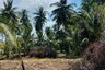 Land for sale in Maret, Surat Thani
