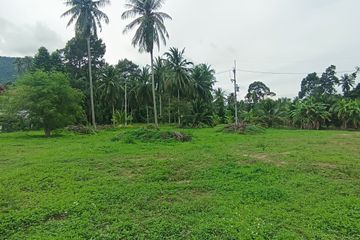 Land for sale in Mae Nam, Surat Thani