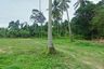 Land for sale in Mae Nam, Surat Thani