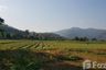 Land for sale in Thung Pi, Chiang Mai