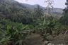 Land for sale in Bo Phut, Surat Thani