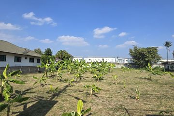 Land for sale in Mae Hia, Chiang Mai