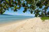 Land for sale in Lipa Noi, Surat Thani