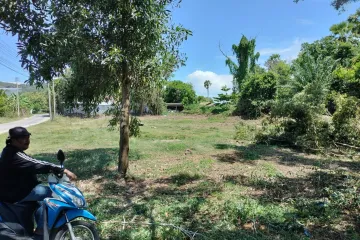 Land for sale in Na Mueang, Surat Thani