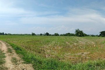 Land for sale in Ton Pao, Chiang Mai
