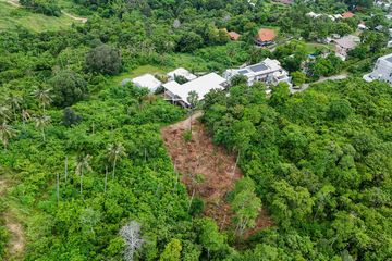 Land for sale in Ang Thong, Surat Thani