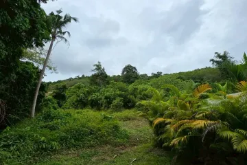 Land for sale in Bo Phut, Surat Thani