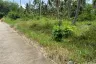 Land for sale in Na Mueang, Surat Thani