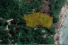 Land for sale in Ko Pha-ngan, Surat Thani