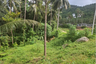 Land for sale in Maret, Surat Thani