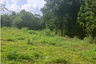 Land for sale in Maret, Surat Thani