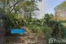 Land for sale in Yu Wa, Chiang Mai