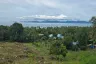 Land for sale in Mae Nam, Surat Thani