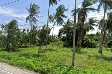 Land for sale in Na Mueang, Surat Thani