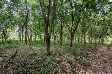 Land for sale in Taling Ngam, Surat Thani