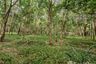 Land for sale in Taling Ngam, Surat Thani