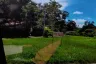 Land for sale in Taling Ngam, Surat Thani