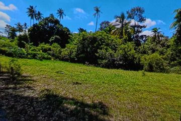 Land for sale in Taling Ngam, Surat Thani