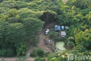 Land for sale in Kaeng Krachan, Phetchaburi