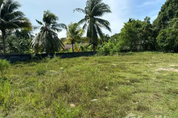 Land for sale in Mae Nam, Surat Thani