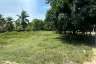 Land for sale in Mae Nam, Surat Thani