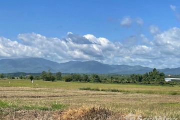 Land for sale in Khilek, Chiang Mai