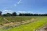 Land for sale in Khilek, Chiang Mai