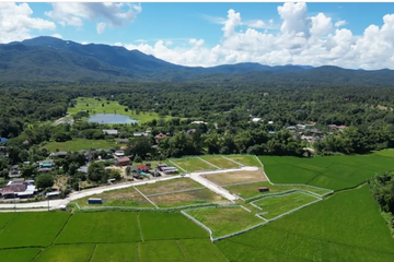 Land for sale in Huai Sai, Chiang Mai