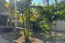 3 Bedroom House for rent in Pa Daet, Chiang Mai