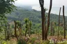 Land for sale in Ang Thong, Surat Thani