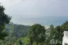 Land for sale in Ang Thong, Surat Thani