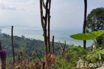 Land for sale in Ang Thong, Surat Thani