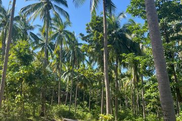 Land for sale in Bo Phut, Surat Thani