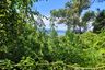 Land for sale in Maret, Surat Thani