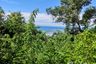 Land for sale in Maret, Surat Thani